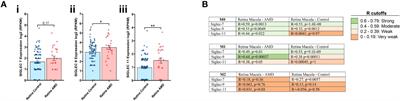 PolySialic acid-nanoparticles inhibit macrophage mediated inflammation through Siglec agonism: a potential treatment for age related macular degeneration